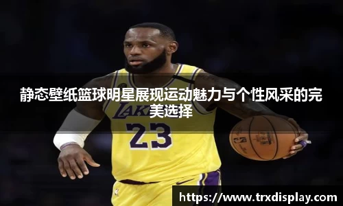 BB贝博艾弗森官网